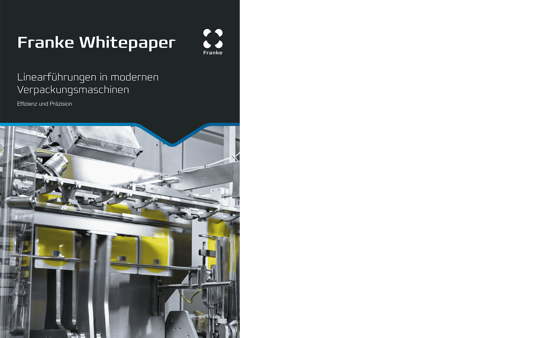 Linearführungen in Verpackungsmaschinen